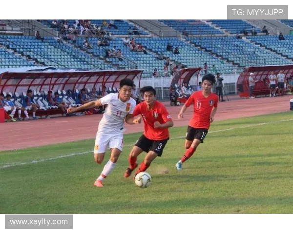 飞盘耐力实力榜单权威发布揭示运动员真实水平与潜力